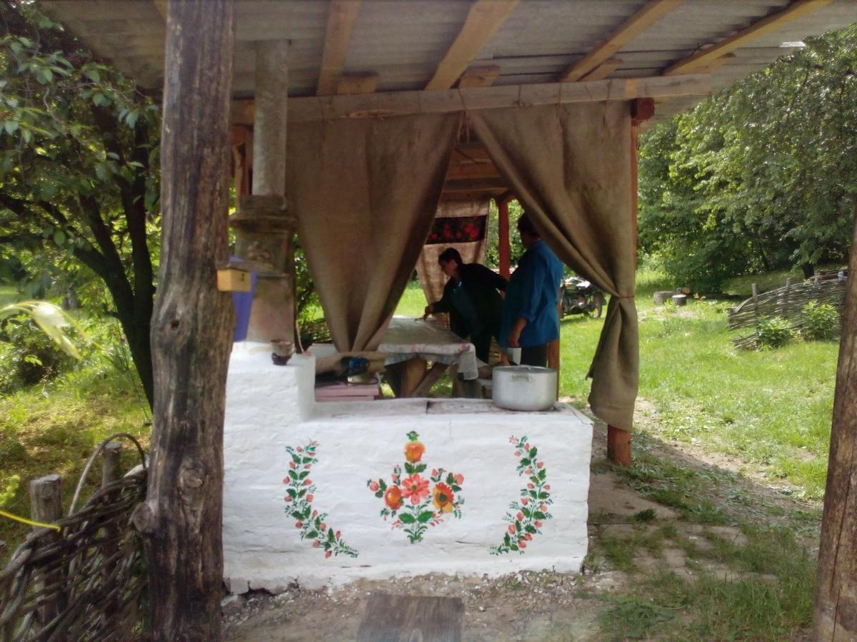 Maison d'hôtes Maliovnytsya à Dybintsy Extérieur photo