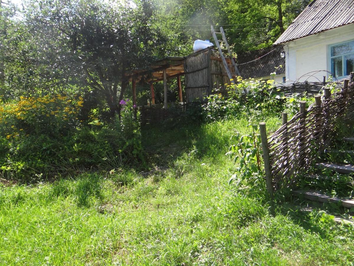Maison d'hôtes Maliovnytsya à Dybintsy Extérieur photo