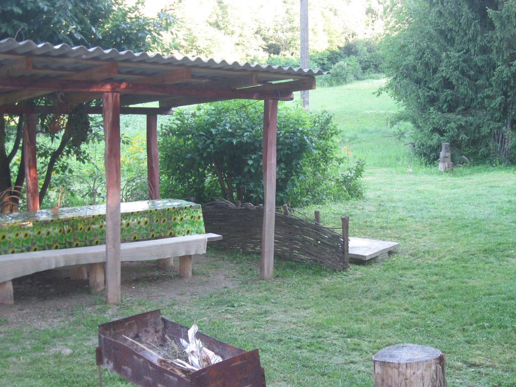 Maison d'hôtes Maliovnytsya à Dybintsy Extérieur photo