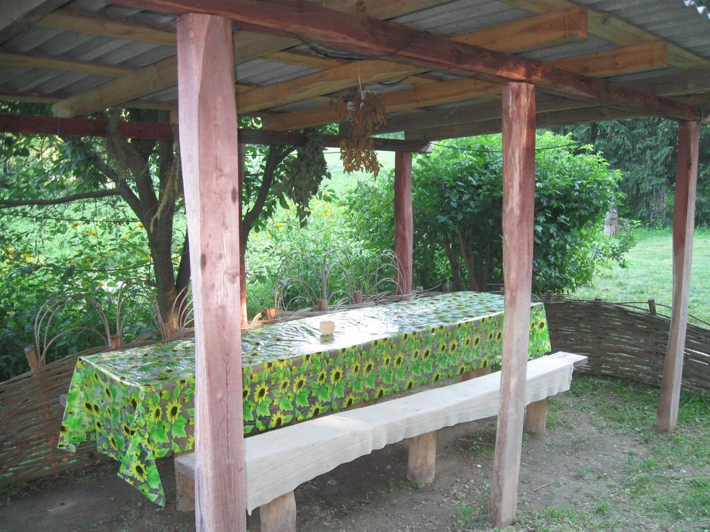 Maison d'hôtes Maliovnytsya à Dybintsy Extérieur photo