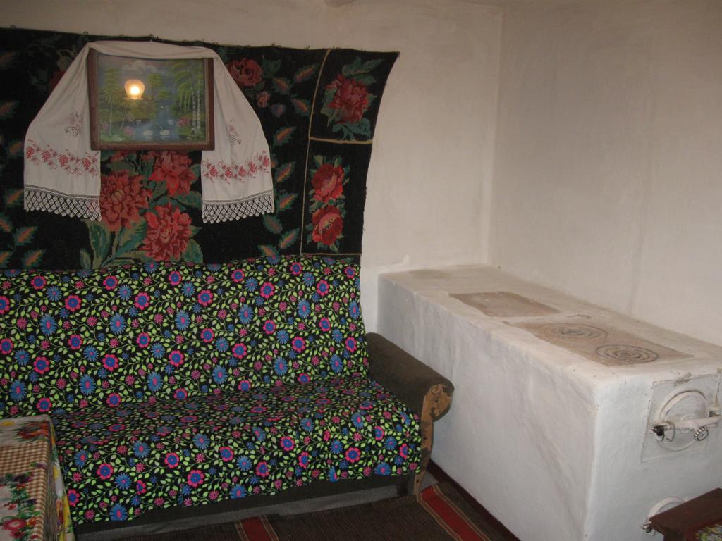 Maison d'hôtes Maliovnytsya à Dybintsy Extérieur photo