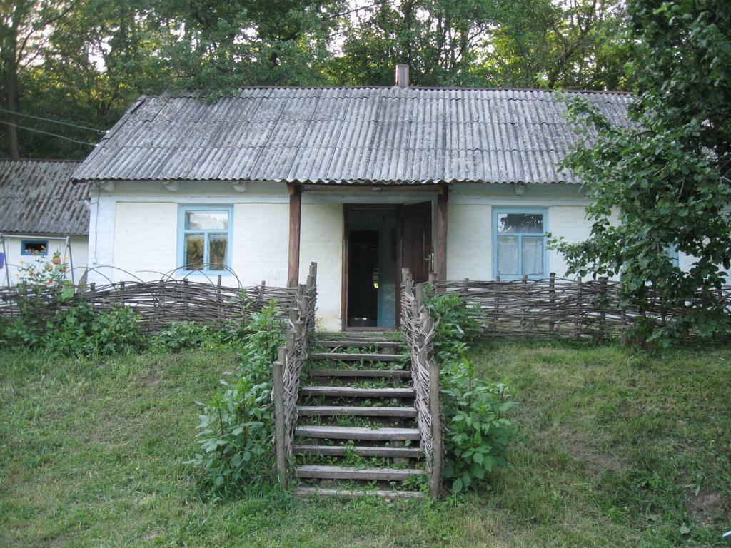 Maison d'hôtes Maliovnytsya à Dybintsy Extérieur photo
