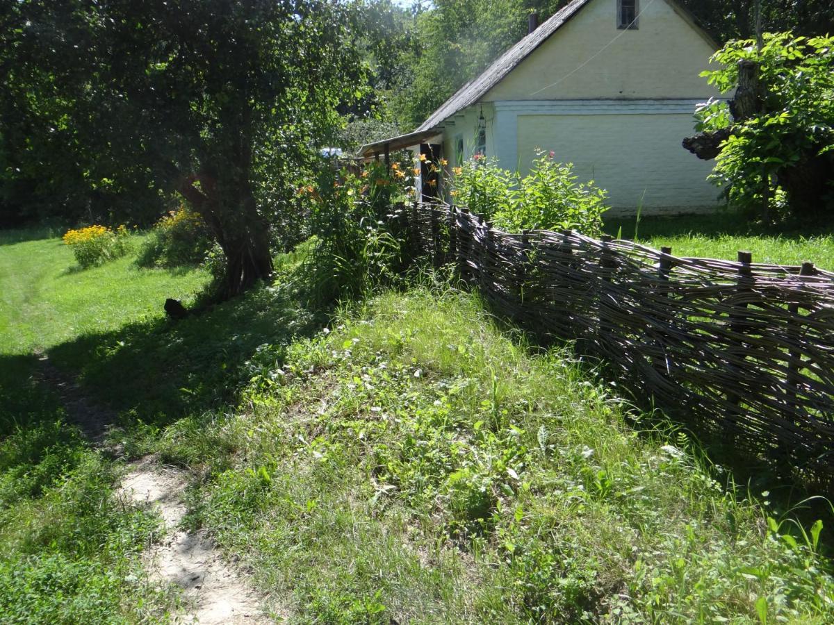 Maison d'hôtes Maliovnytsya à Dybintsy Extérieur photo