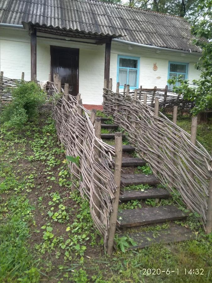 Maison d'hôtes Maliovnytsya à Dybintsy Extérieur photo
